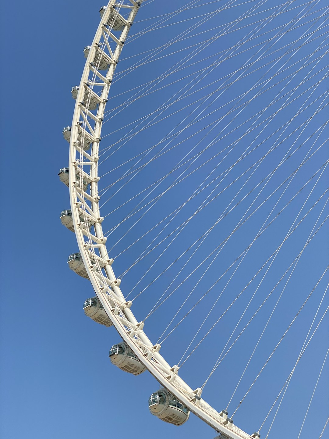 Museum of the Future